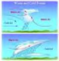 warmandcoldfronts.jpg